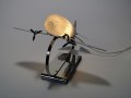 DSC04258.jpg