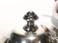 DSC02084.jpg