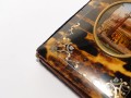 DSC09340.jpg