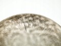 eb19e6f64adebcd40091a1cdd5f7