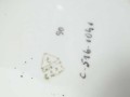 DSC03698.jpg