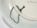 DSC00408.jpg