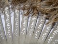 DSC00660.jpg