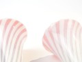 DSC03488.jpg