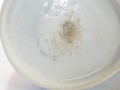 DSC04319.jpg