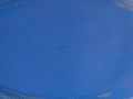 DSC09193.jpg