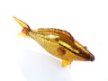 DSC09430.jpg