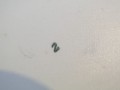 DSC06414.jpg