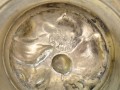 DSC05115.jpg