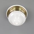 DSC04177.jpg