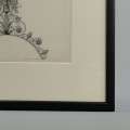 DSC05157.jpg