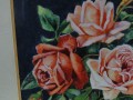 DSC06365.jpg
