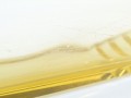 DSC09846.jpg
