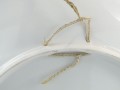 DSC09797.jpg