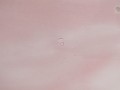 DSC09175.jpg