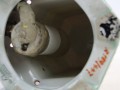 DSC01243.jpg