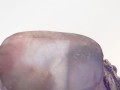 DSC01485.jpg