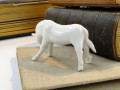 DSC04947.jpg