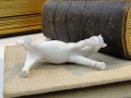 DSC04952.jpg