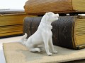 DSC04954.jpg
