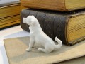 DSC04956.jpg