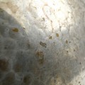 1686175dbedf98e2041769fad19396c0