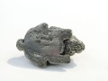 DSC00743.jpg