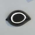 DSC01146.jpg