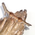 DSC05439.jpg