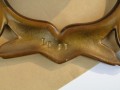 DSC04396.jpg