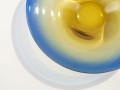 DSC07817.jpg