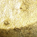 DSC09159a.jpg