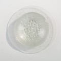 DSC01331.jpg