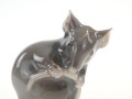 DSC03274.jpg