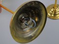 DSC05786.jpg