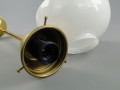 DSC06273.jpg
