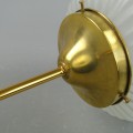 DSC06313.jpg
