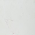 DSC07251.jpg