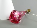 DSC08225.jpg