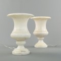 DSC07503.jpg