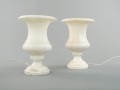 DSC07497.jpg