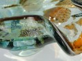 DSC09178.jpg