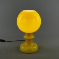 DSC01138.jpg
