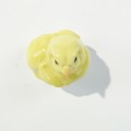 DSC04268.jpg