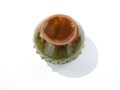 DSC04200.jpg
