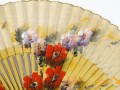 DSC04835.jpg
