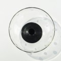 DSC04862.jpg