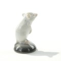 DSC03832.jpg