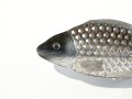 DSC02522.jpg
