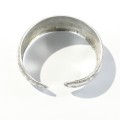 DSC02551.jpg